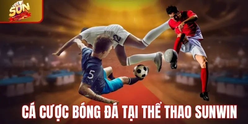 Cá cược bóng đá điểm tâm tại thể thao Sunwin
